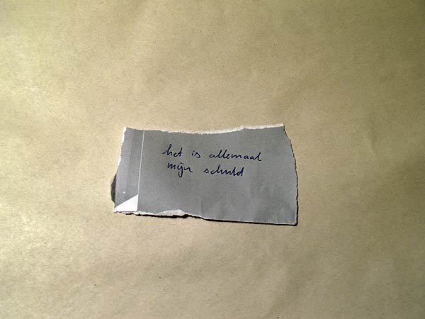 het is allemaal mijn schuld