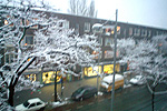 lt in de sneeuw